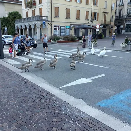 Casa Betty View - 펜션 *