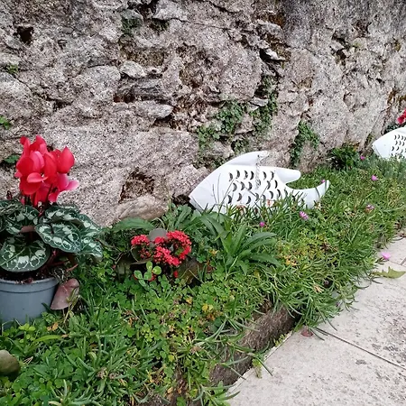 Casa Betty View - * Baveno